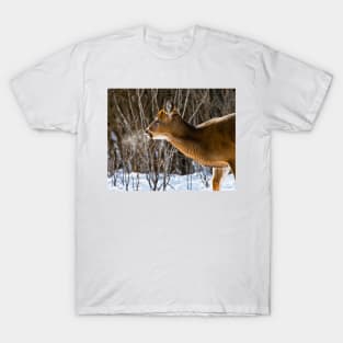 White-tailed Deer T-Shirt